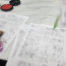 법무사박기초사무소
