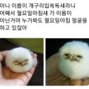 심해진 이미지