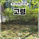 안동경계(중사교 가기전) | 고령휀스 - 사유지 경계·출입문 설치로 공간이 달라졌습니다