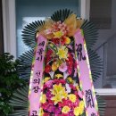 원주민부동산공인중개사사무소 이미지