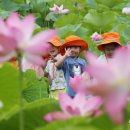 연꽃어린이공원 이미지