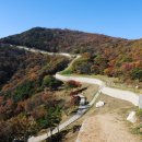 예산-10 이미지