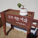 카페차차