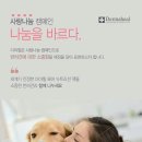킴스애견미용실 이미지