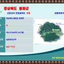 산천초목민박 이미지