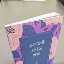 매일원색