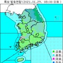 1월 29일(금요일) 08:00 현재 대한민국 날씨 및 기상특보 발효 현황 (울릉도, 독도 포함) 이미지