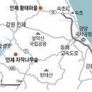 자작나무민박 이미지