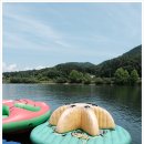 몬테리오 이미지