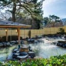 모아온천 이미지