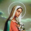 성모의지 이미지