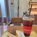 아마폴라 | 언주역 케이크 맛집🍰 카페드아마폴라 강남점 직접 다녀온 후기