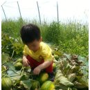 효동농장 이미지