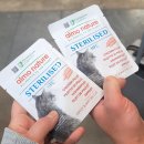 한라타워맨션 놀이터 | 부산 궁팡 2026 궁디팡팡캣페스타 토요일 후기