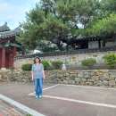 [진주 강민첨 장군 탄생지] 이미지