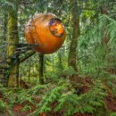 나무호텔 이미지