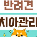 독스하트 구리 이미지