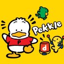 로티엑스