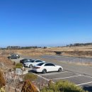 하이상운 | 양양 맛집 [상운메밀촌]또간집 육개장칼국수