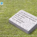 행주IC체육시설 이미지