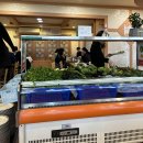 영종도 파라다이스, 아트파라디소 호텔 근처 한식 맛집 추천: ‘해송쌈밥’, ‘빨간거짱구네 업무단지점’