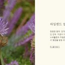 온더무어 네이버블로그