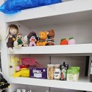 골드애견 | 제천 애견미용 골드애견 방문 후기｜강아지 목욕과 발톱 정리, 반려동물 용품까지 한 번에!