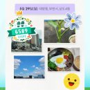 구림약국 이미지