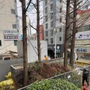 대성산업 | 부산 서면 한신 아파트 폐낙엽 처리 후기입니다 | 대성산업과 함께 해결하세요!!