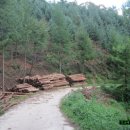 문의중학교 이미지