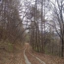 신우민박 이미지