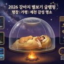 공해방지빌라 | 2026년 반려견과 꼭 가봐야 할 국내 '별 쏟아지는' 감성 글램핑장 TOP 3