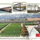 영오1농장 이미지