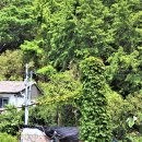 청사포정거장 이미지