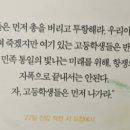 예향식당 이미지