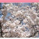 남면초등학교 이미지