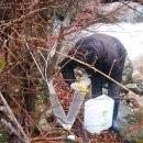 목통산장 이미지