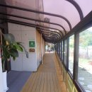 초록별숲유치원 이미지