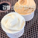 방범초소 옆 | 강릉 순두부 젤라또 1호점 초당순두부길 맛집 주차 내돈내산