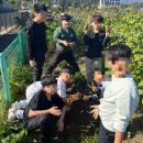 간식 텃밭 만들기 이미지