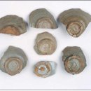 분청사기요지 이미지