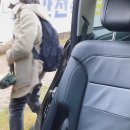 페를로