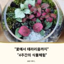 친환경 원예생활 테라리움아트 | 9월 원예수업 4주 완성! 꽃부터 테라리움까지 풍성했던 식물체험 출강 이야기