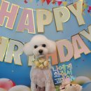 아토그루밍 이미지