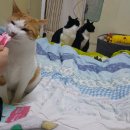 수근수근