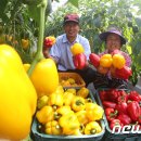 봉정축산 이미지