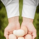 (주)더조인 이미지