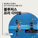 3H칠곡북삼센터 | 대구 초보 프리다이빙 레벨1 후기 시설부터 교육까지 [블루피스 프리다이빙]