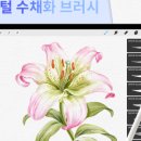 엠엔뷔알스튜디오