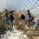 대소면사무소 이미지